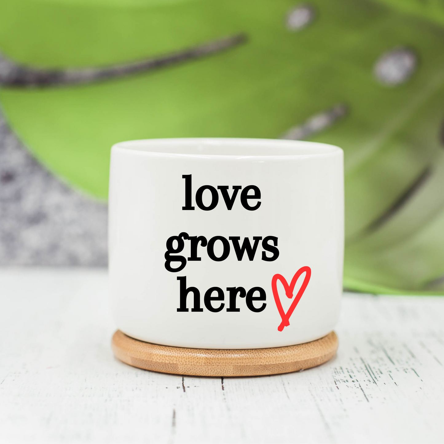 Love Grows Here Ceramic Succulent Pot